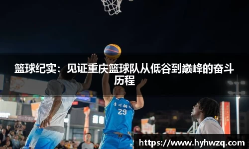 Bibo必博官网