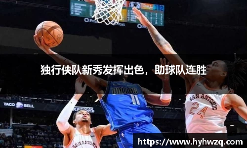 Bibo必博官方网站