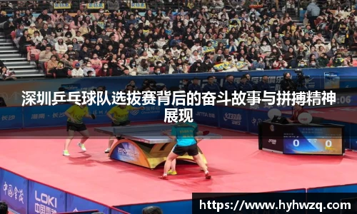 Bibo必博官方网站