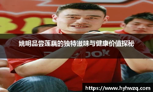 Bibo必博官网