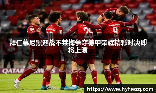 Bibo必博官网
