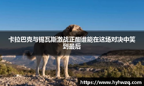 必博(中国)Bibo·官方网站