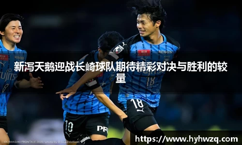 Bibo必博官网