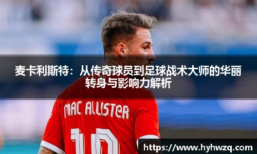 Bibo必博官网