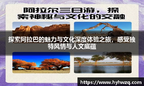 必博(中国)Bibo·官方网站